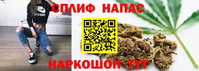 PSILOCYBIN Кингисепп