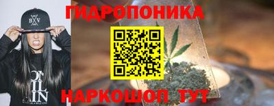 СК Кинель