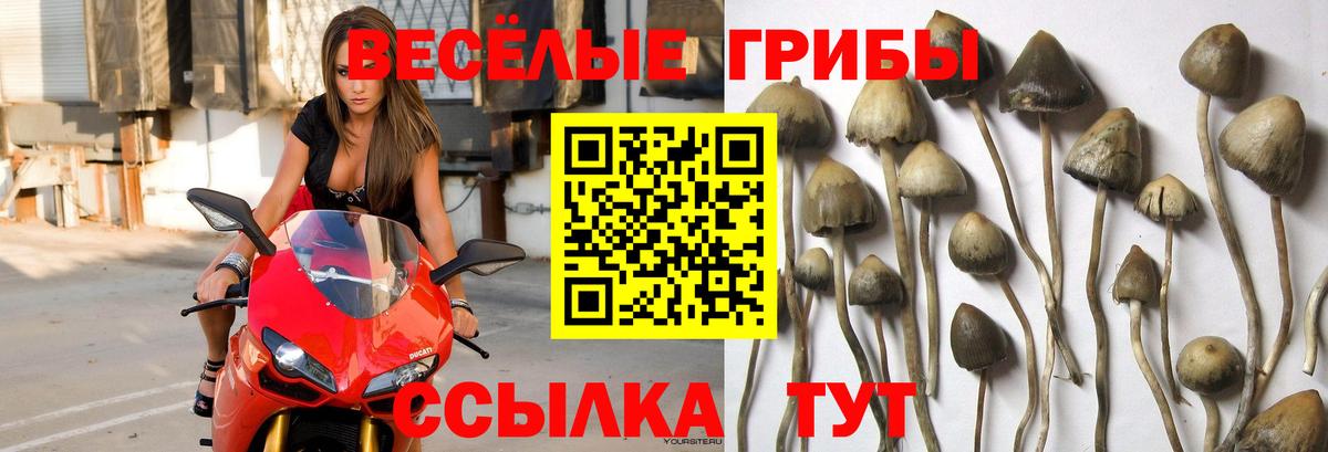 Галлюциногенные грибы ЛСД Кудымкар