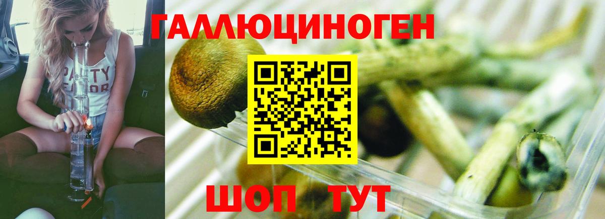 Псилоцибиновые грибы ЛСД  Псилоцибиновые грибы ЛСД  Кудымкар  Вход с VPN 